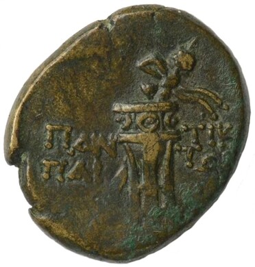 ������: 202-3112