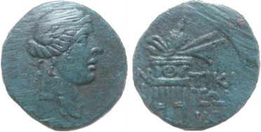 ������: 202-3112