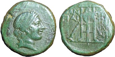 ������: 202-3112