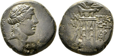 ������: 202-3112