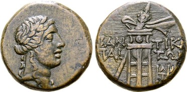 ������: 202-3112