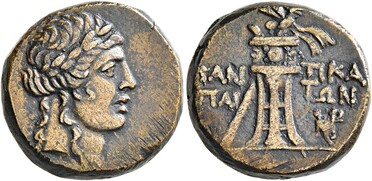 ������: 202-3248