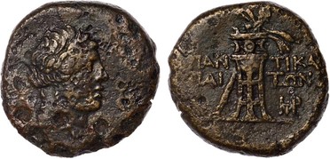 ������: 202-3248