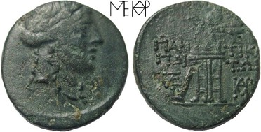 ������: 202-3289