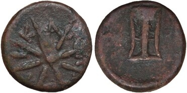 ������: 203-3157