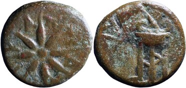 ������: 203-3157