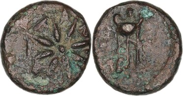 ������: 203-3157