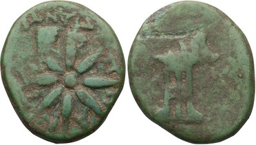 ������: 203-3157