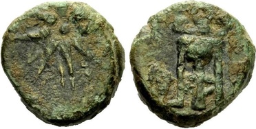 ������: 203-3157