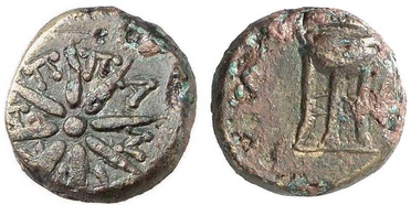 ������: 203-3157