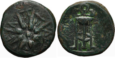 ������: 203-3157