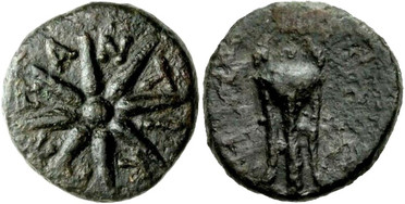 ������: 203-3157