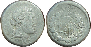 ������: 204-3027