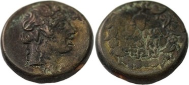 ������: 204-3027