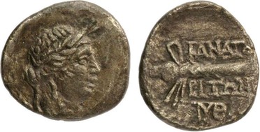 ������: 205-3028