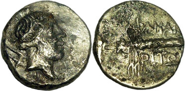 ������: 205-3396