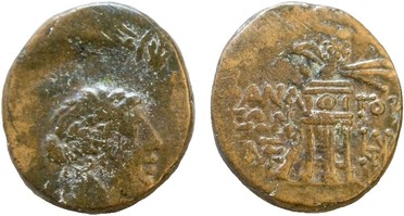 ������: 208-4080