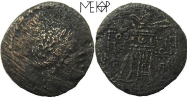 ������: 211-3106