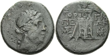 ������: 211-3106