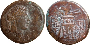 ������: 211-3106