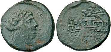 ������: 211-3106