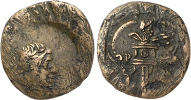 ������: 211-3113