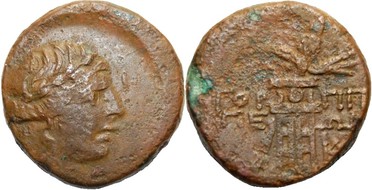 ������: 211-3113