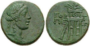 ������: 211-3113