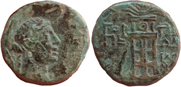 ������: 211-3113