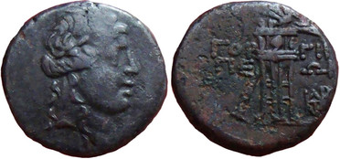 ������: 211-3113