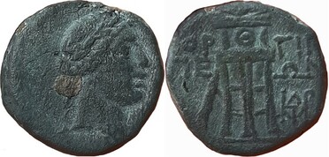 ������: 211-3113