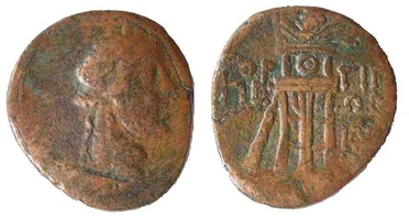 ������: 211-3113