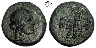 ������: 211-3237