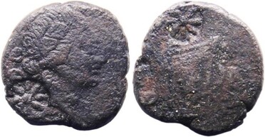 ������: 212-3035