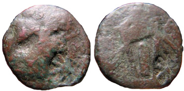 ������: 212-3035