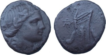 ������: 212-3041