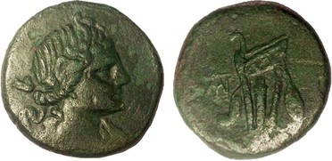 ������: 212-3041