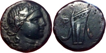 ������: 212-3041