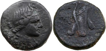 ������: 212-3041