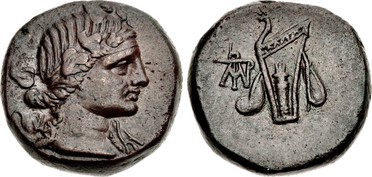 ������: 212-3041