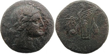 ������: 212-3041