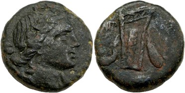 ������: 212-3041