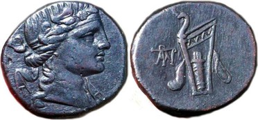 ������: 212-3041