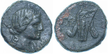 ������: 212-3041