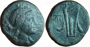 ������: 212-3041