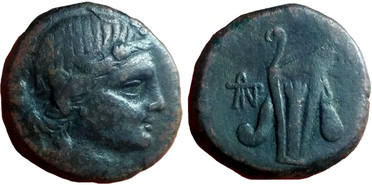 ������: 212-3041