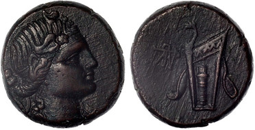 ������: 212-3041