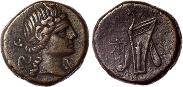 ������: 212-3041