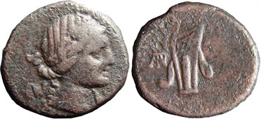 ������: 212-3041