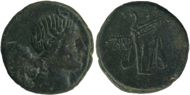 ������: 212-3041